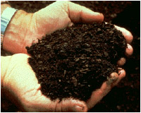 Dark soil, rich in natural organic fertilizer