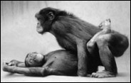 for example: he can thrust in a hundred different ways, and they can kiss freely... she can spread her legs wide, or wrap them around him, or keep them together for a rewarding challenge... he can rest his weight on his elbows, his extended arms, or her body... they can try the coital alignment technique... she can move her hips to the edge of the bed, have him kneel or stand before her and thrust, and thus be free to massage her clitoris... and if he gets too excited, they're just two feet away from cunnilingus.